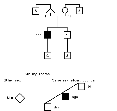 kinship terminology diagram