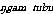 gam &nbsp;tubu