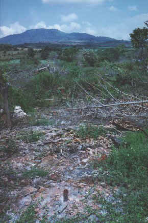 Chorros burned out house.jpg (44867 bytes)