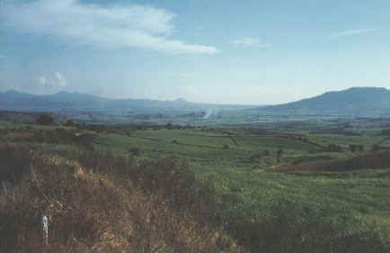 cane fields showing both mills.jpg (22783 bytes)