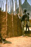 353622.jpg