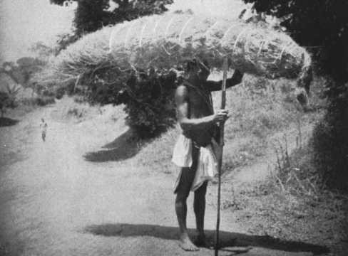man with thatching-grass